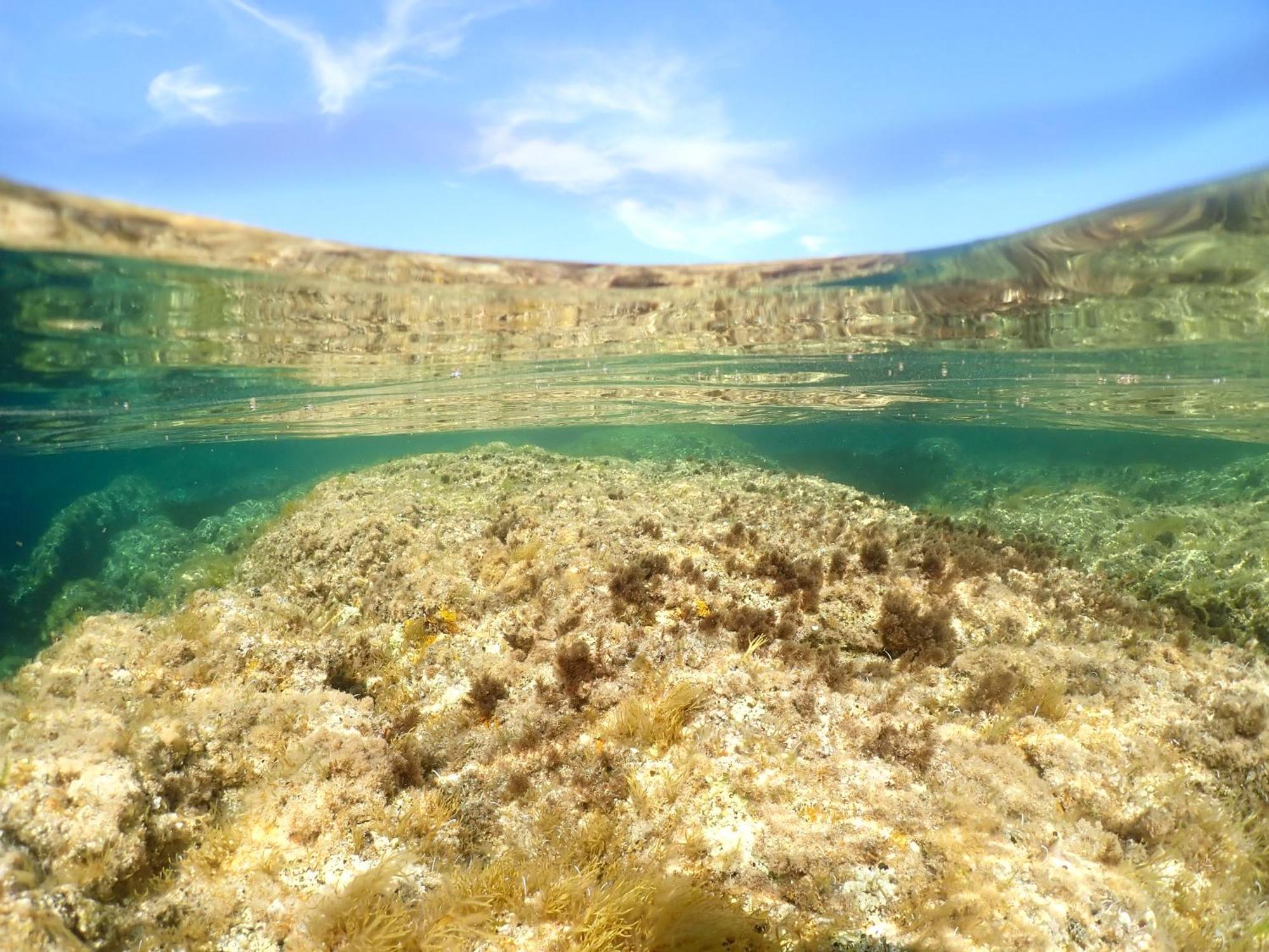Mira Monti Location Ξενοδοχείο Belvedere-Campomoro Εξωτερικό φωτογραφία